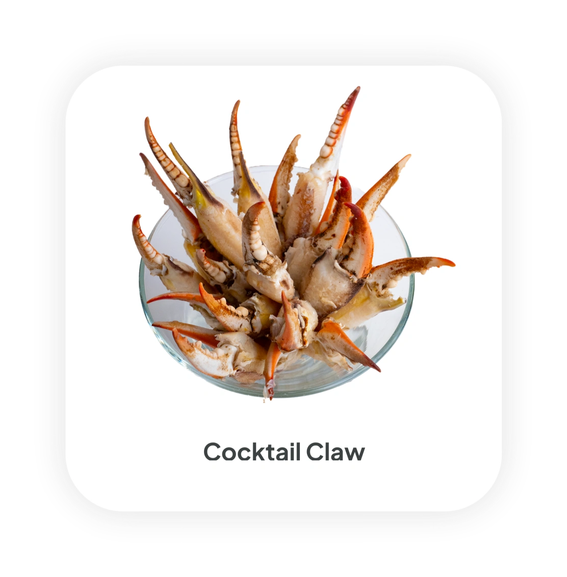 CockClaw